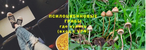 трава Армянск