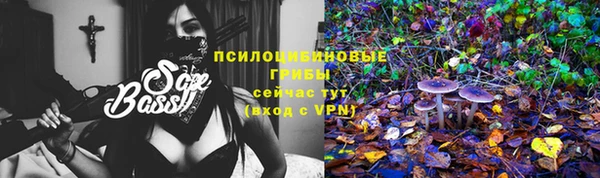 ешки Аркадак