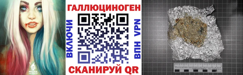 закладки  Старая Купавна  Псилоцибиновые грибы Psilocybine cubensis 